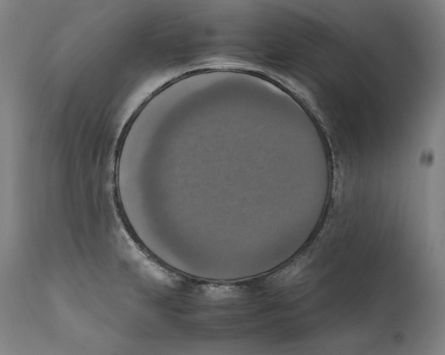 X0000110711231200907101236