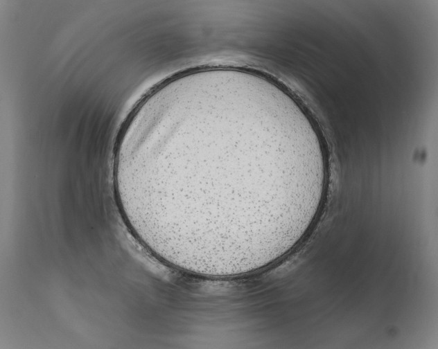 X0000110711232200907101236