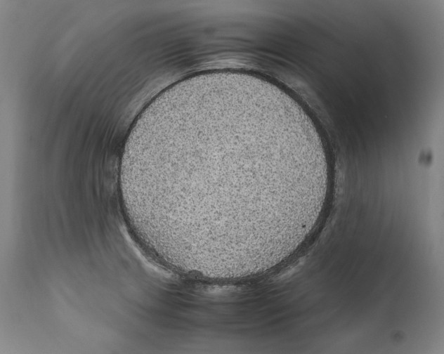 X0000110711233200907101236