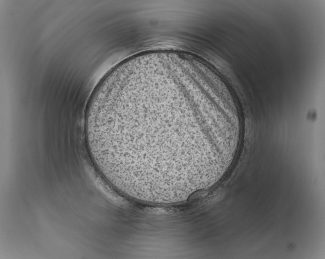 X0000110711234200907101236