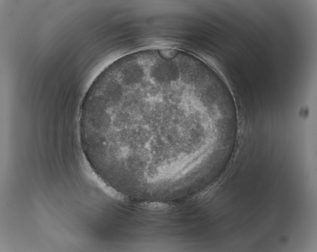 X0000110711235200907101236