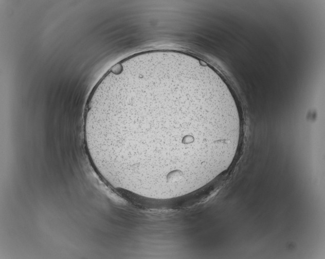 X0000110711236200907101236