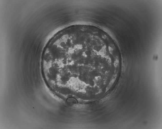 X0000110711237200907101236