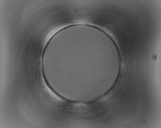 X0000110711239200907101236