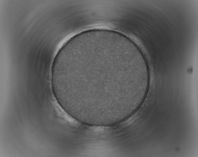 X0000110711240200907101236