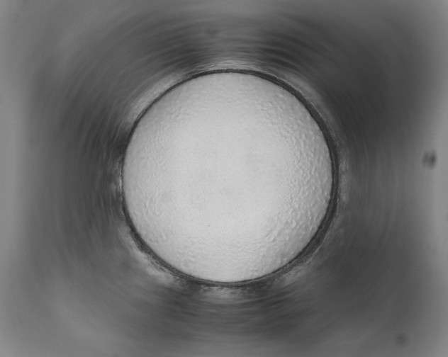 X0000110711241200907101237