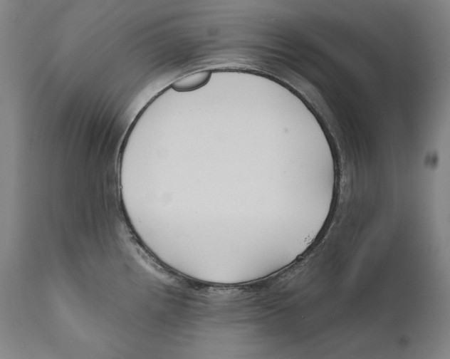 X0000110711242200907101237