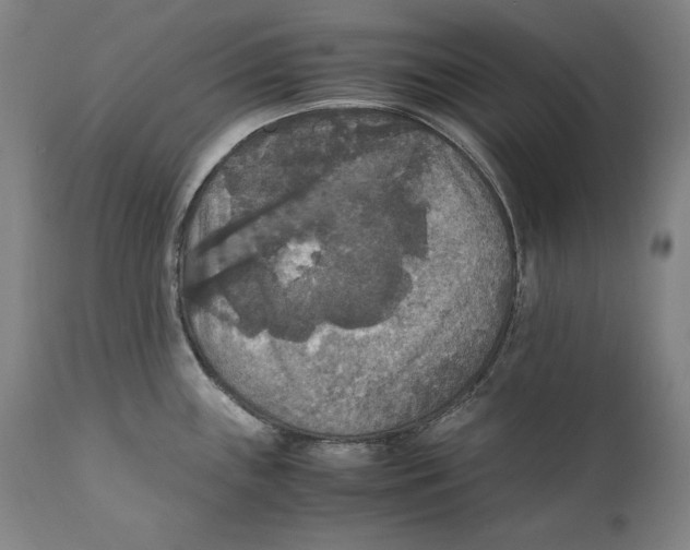 X0000110711243200907101237