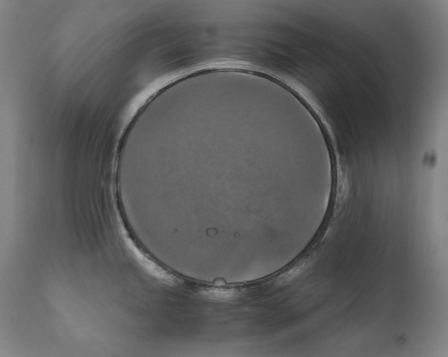 X0000110711245200907101237