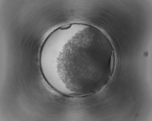 X0000110711246200907101237