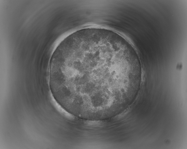 X0000110711247200907101237