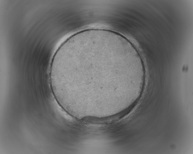 X0000110711248200907101237