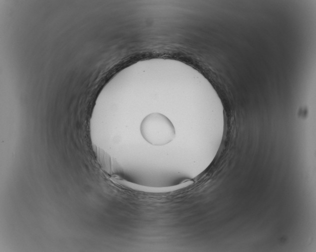 X0000110711249200907101236