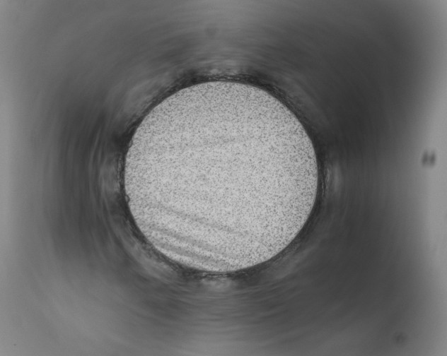 X0000110711250200907101236