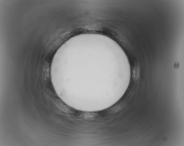 X0000110711251200907101236