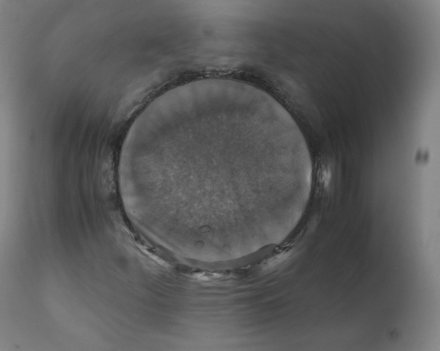 X0000110711252200907101236