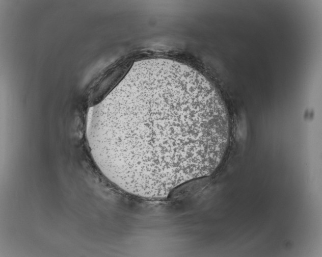 X0000110711253200907101236