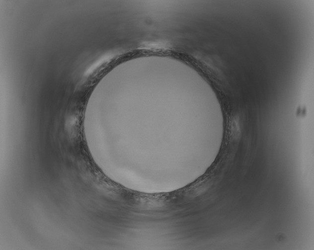 X0000110711254200907101236