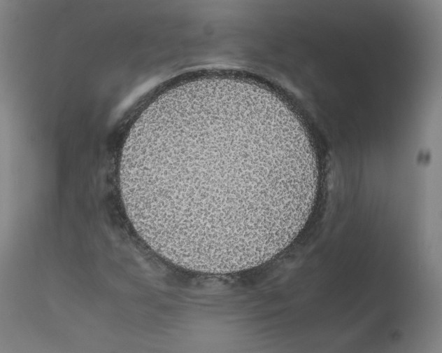 X0000110711255200907101236