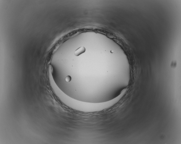 X0000110711256200907101236