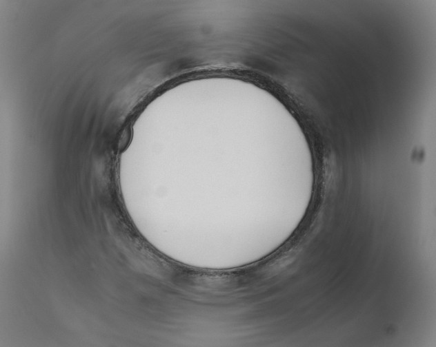 X0000110711257200907101236