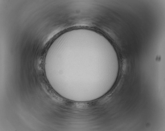 X0000110711258200907101236