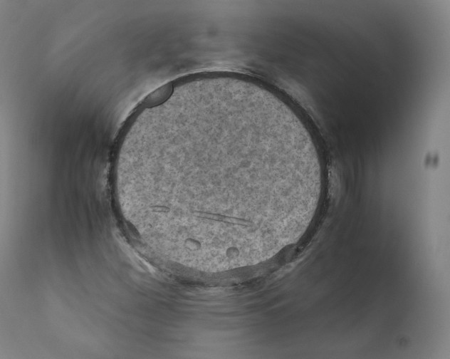 X0000110711260200907101236