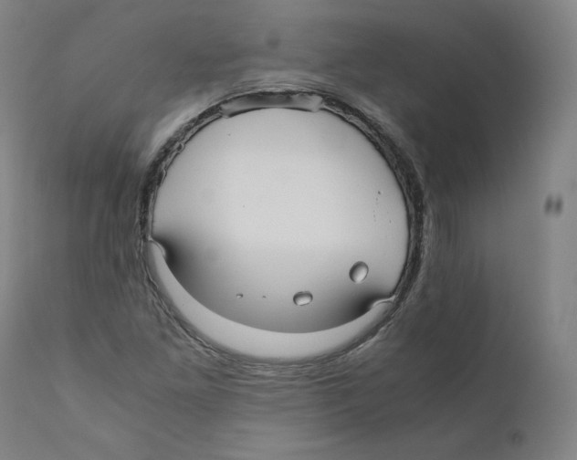 X0000110711261200907101236