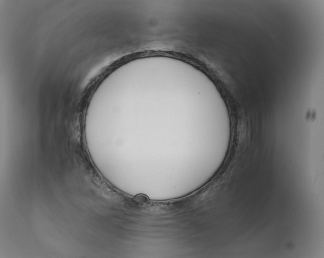 X0000110711262200907101236