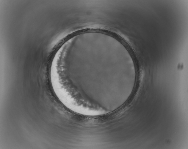 X0000110711263200907101236