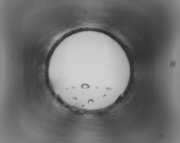 X0000110711264200907101236