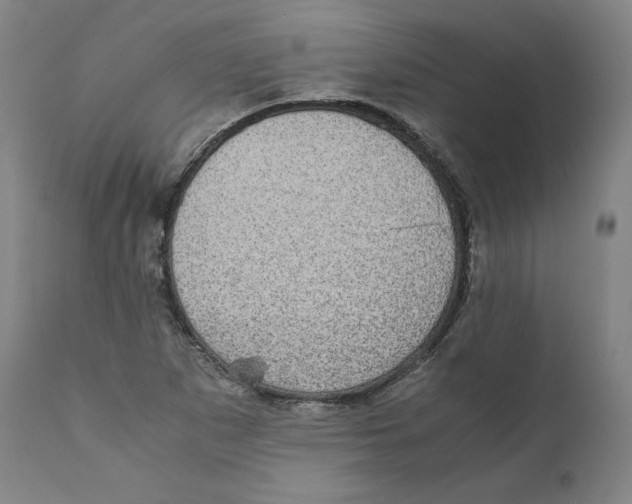 X0000110711265200907101236