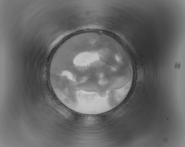 X0000110711266200907101236