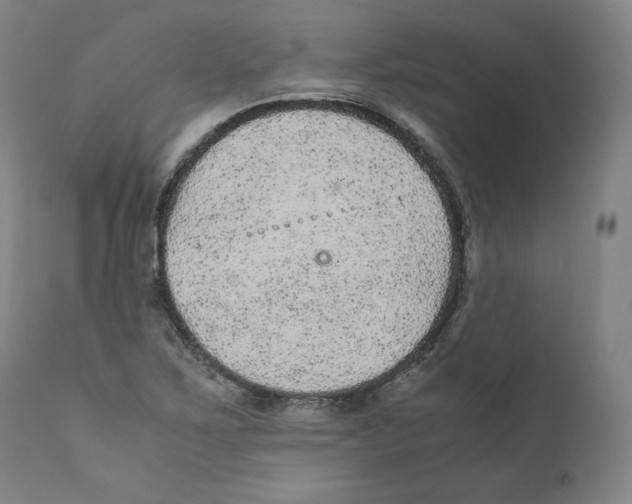 X0000110711267200907101236