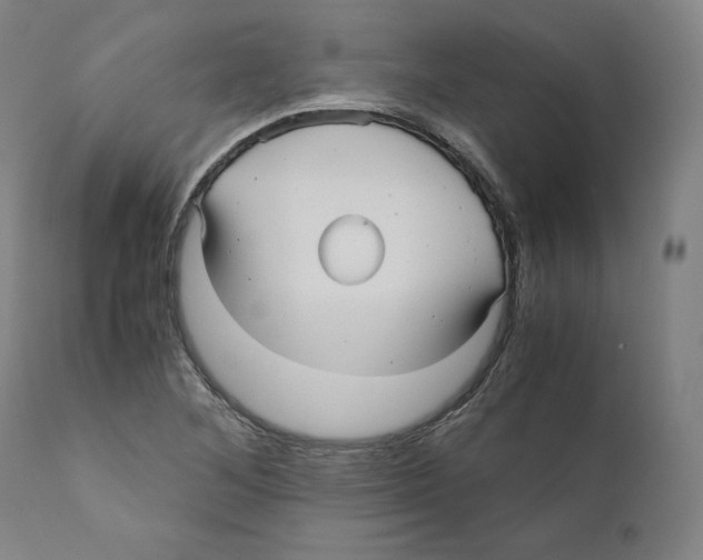 X0000110711268200907101236