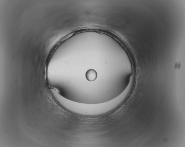 X0000110711269200907101236