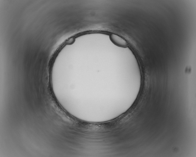 X0000110711270200907101236