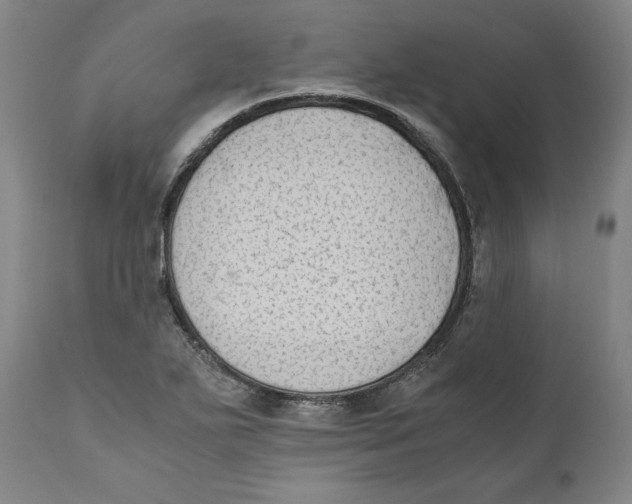 X0000110711271200907101236