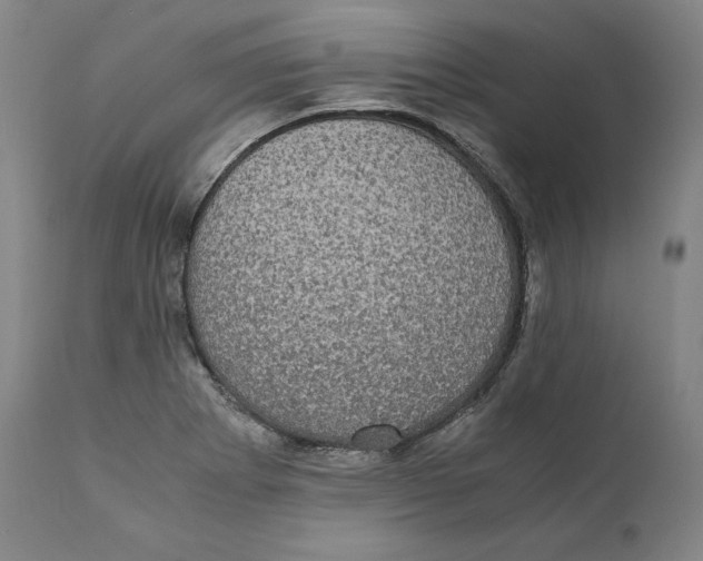 X0000110711273200907101236