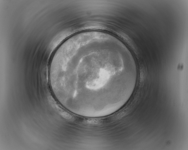 X0000110711274200907101236