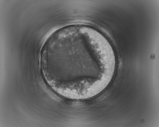 X0000110711275200907101236