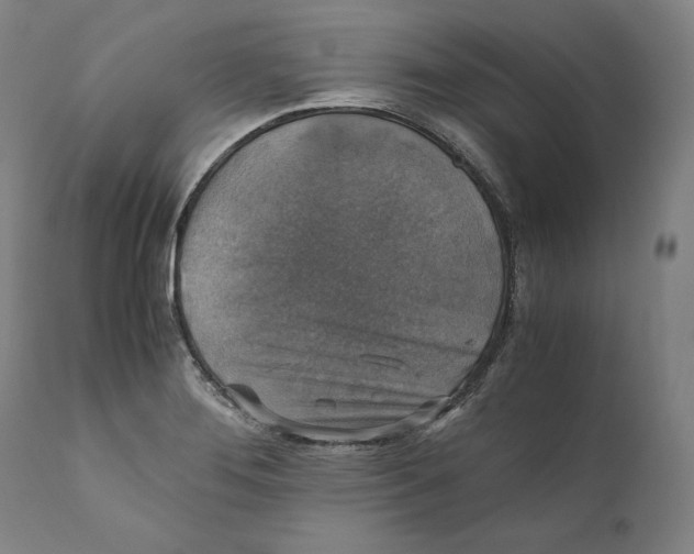 X0000110711276200907101236