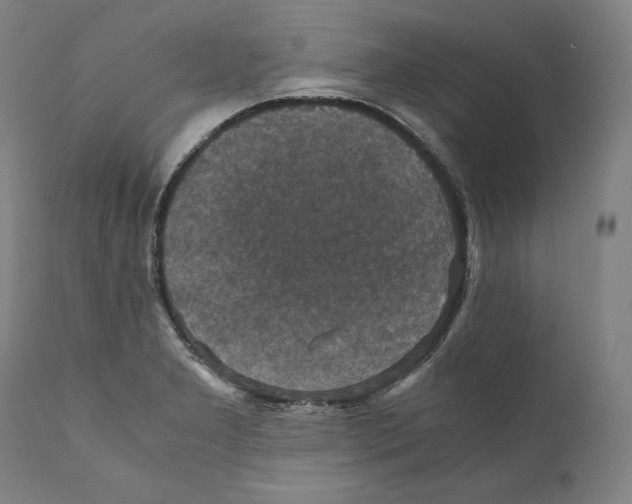 X0000110711277200907101236