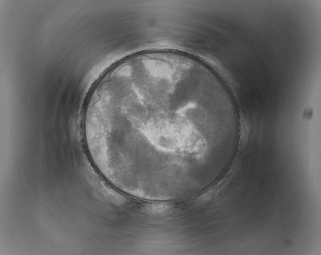 X0000110711278200907101236