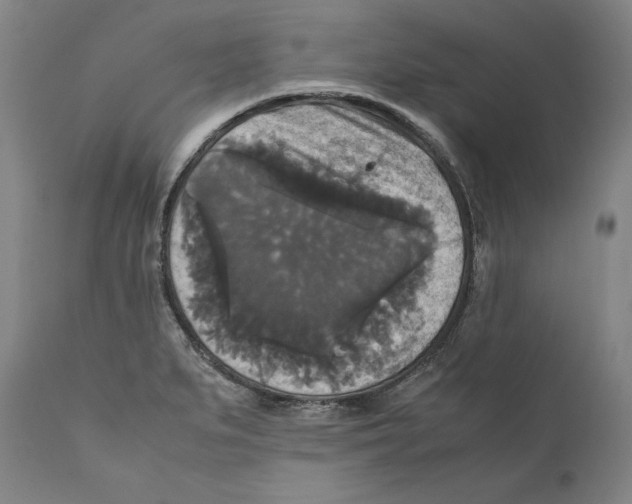 X0000110711279200907101236