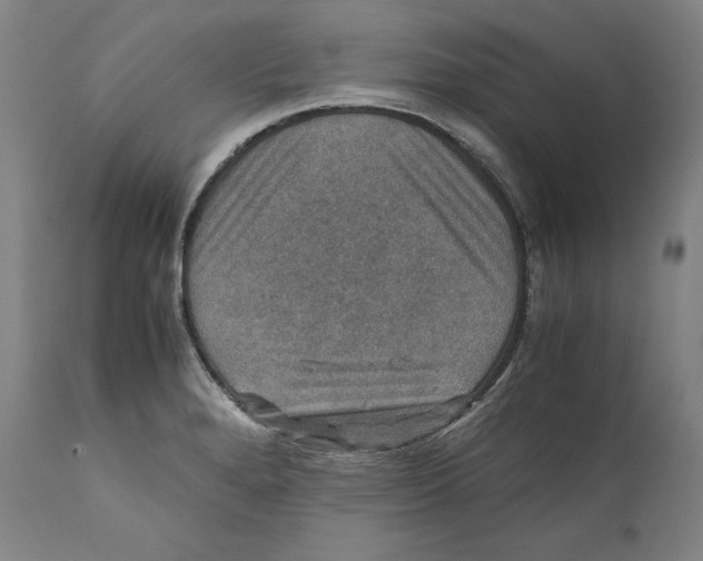 X0000110711280200907101236