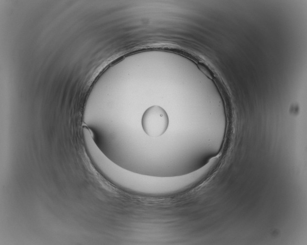 X0000110711281200907101236