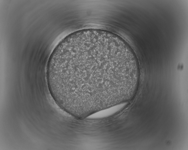 X0000110711283200907101235