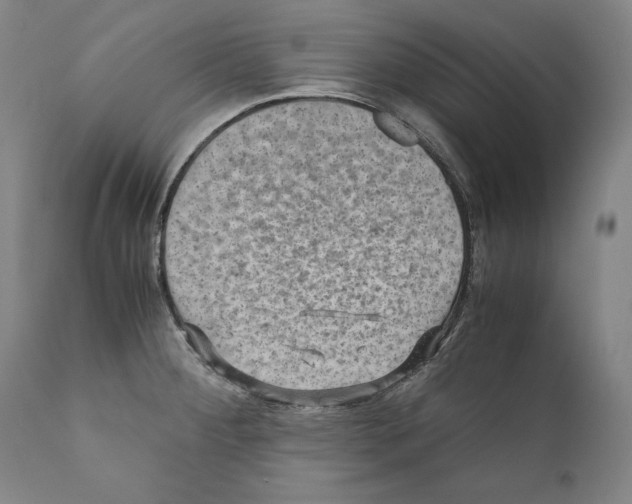 X0000110711284200907101235