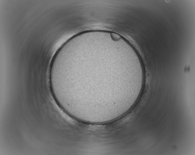 X0000110711285200907101235